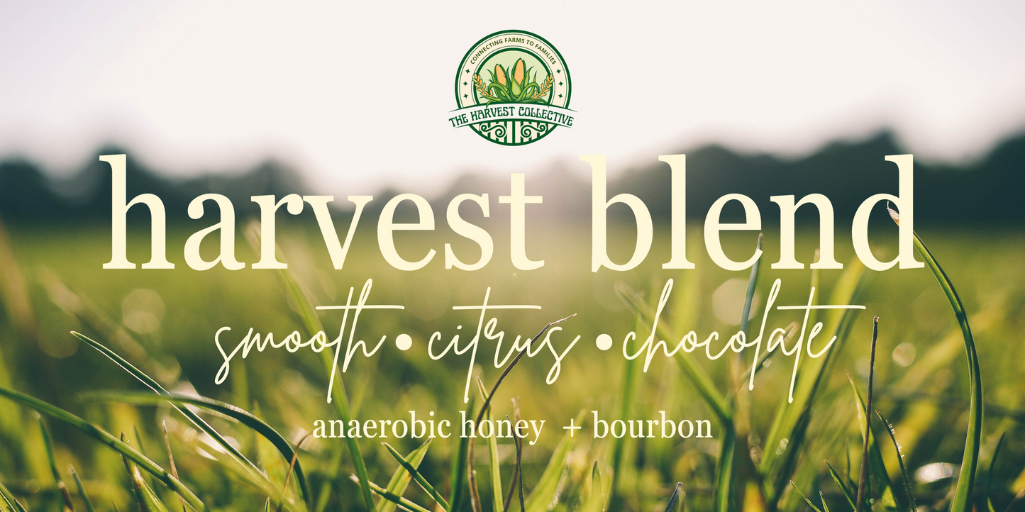 The Harvest Blend - Whole Bean
