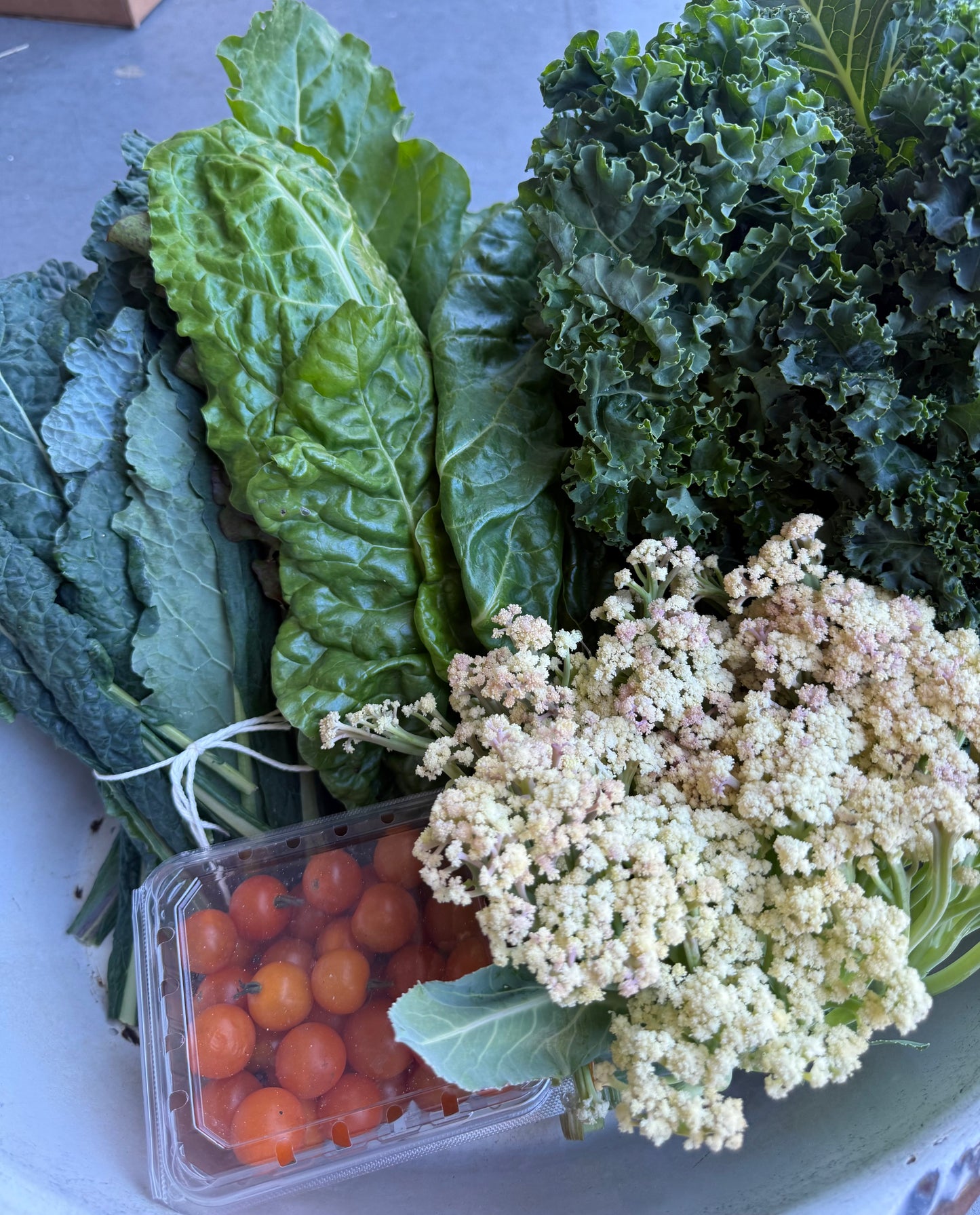 Large Produce Box - Feeds 5-8 people