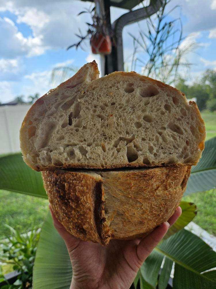 Sourdough Artisan Loaf