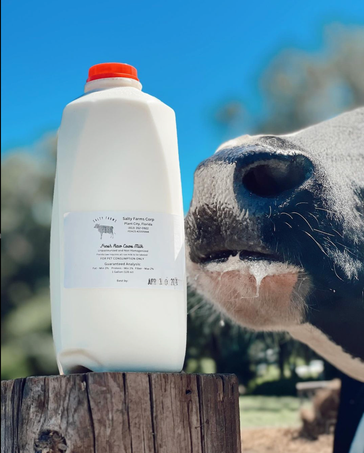 Raw Dairy